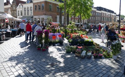Zutphen Markt