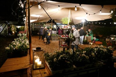 Stand mit weihnachtlichen Blumen
