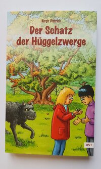 Buch Der Schatz der Hüggelzwerge