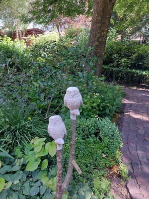 Gartenlehrfahrt Juni 2023