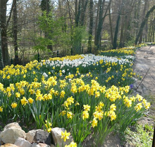 Natura Gart 9 April 2025