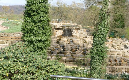 Natura Gart 4 April 2025