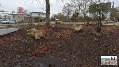 Grünanlage Trauzimmer Niedersachsenstr./Tecklenburger Str.