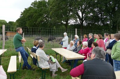 Heiner Kätker erzählt zu den Straußen