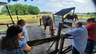 Besuch bei Ella - Gemeinde Hasbergen Besuch bei Ella
